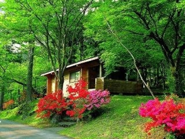 �������R�e�[�W�E�G�X�g�̎ʐ^1