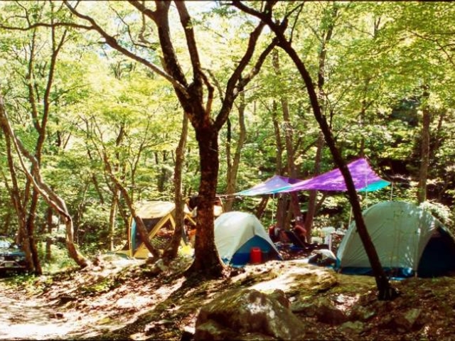 �g�ɂ������̐X�L�����v��̎ʐ^1