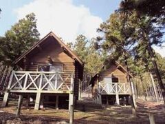 �R�o�e���̗��L�����v��̎ʐ^1