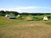 �痢�l�Ȃ������r���[�W�L�����v��̎ʐ^1