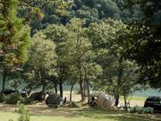 �㓪�����C�N�T�C�h���r���[�W�̎ʐ^1