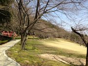 松阪市森林公園の写真1