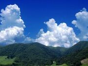 �}�L�m�����L�����v��̎ʐ^1