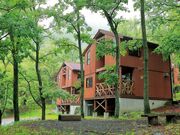 ����J�k�J�}�U�[�l�C�`���[�����̎ʐ^1