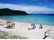 �Y�c�L�����v��̎ʐ^2