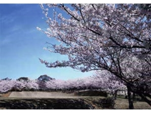 �Ö،����̍�_�Ö،����̍�