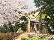 �{�n�Ԍ����̎ʐ^1