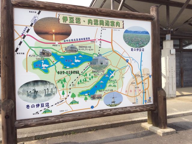 �o�Ďs�ɓ����E�����T���N�`���A���[�Z���^�[