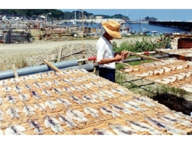 �����̈�銱���̎ʐ^1