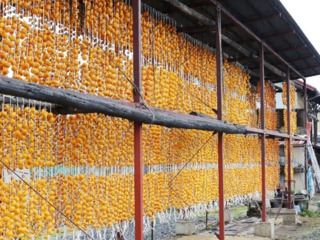 ※確認用　柿　のれん 和柄 暖簾 風鈴のれん さくらんぼ 燕 柿 西瓜和室 間仕切り 伝統