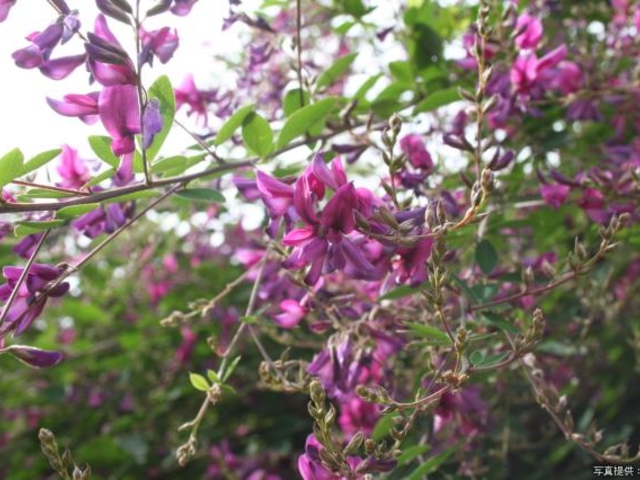 �͂�����_�͂������̃n�M