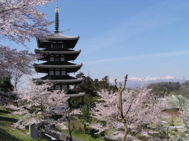 安達ヶ原の桜】アクセス・営業時間・料金情報 - じゃらんnet