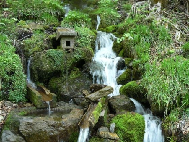 ��΂̗��̎ʐ^1