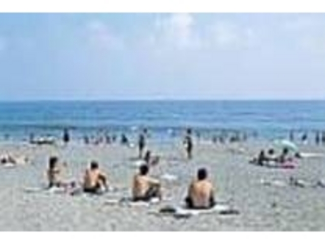 �C�����q�łɂ��키�ẴT�U���r�[�`_���ڂ���