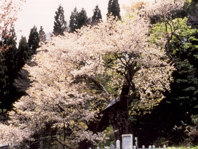 �����ݍ��̎ʐ^1