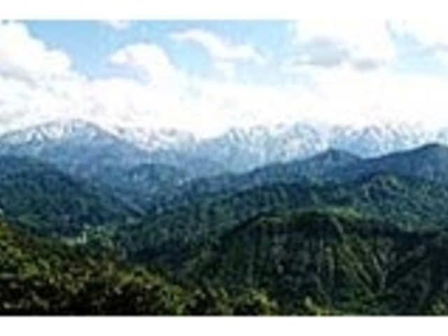 �\�l���X�u�i��