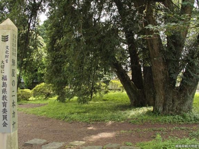 �w���̓�{�Ђ̎ʐ^1