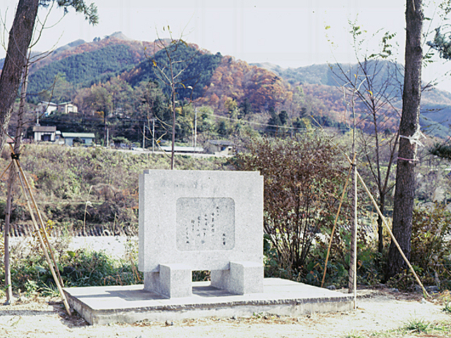 �і[�Y�̔�̎ʐ^1