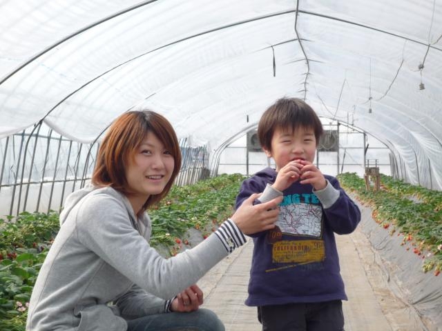 �R���s�����ό�䕑g��