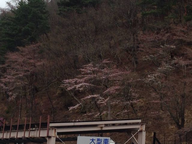 �������΂̍�