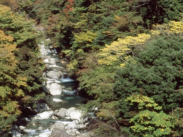 ���m��k�J