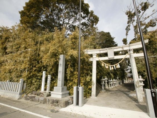 ���������_�Ђ̎Бp�i�J���`�N�j�̎ʐ^1