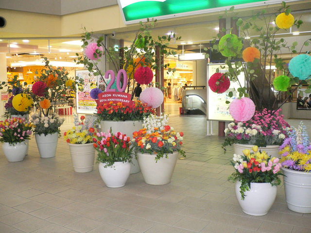 �C�I�����[���K��