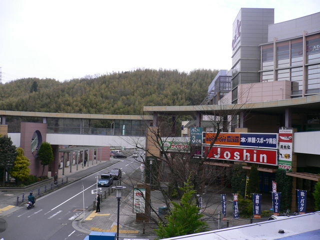 �C�I�����[���K��