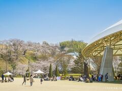 �ƃP�r�����̍��̎ʐ^1