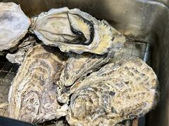 魚居酒屋 あぷちゃ 本店の写真1