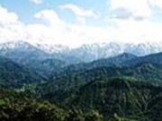 �\�l���X�u�i�т̎ʐ^2