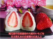 �����ُ��ێO�V�܂̎ʐ^3