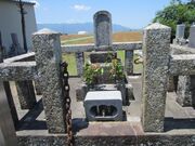 �F���`�m�ЂƂ�-�j�ՐS�މ@�F���`�m�̕�i�S�މ@�j�̎ʐ^1