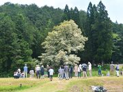 ���҂̃q�g�c�o�^�S�����n�i�g��j�̎ʐ^2