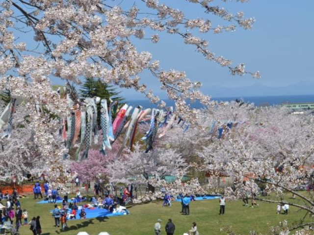 ���������̍�