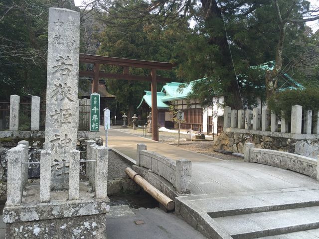 ዷP_Ђ̃IK^}mL̎ʐ^1