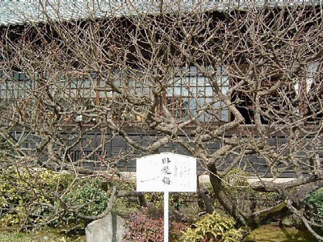 �������̉痴�~