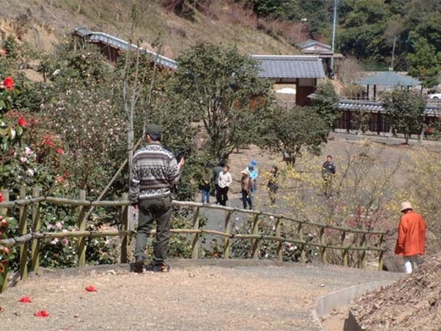 ���ƒJ�΂����̎ʐ^1