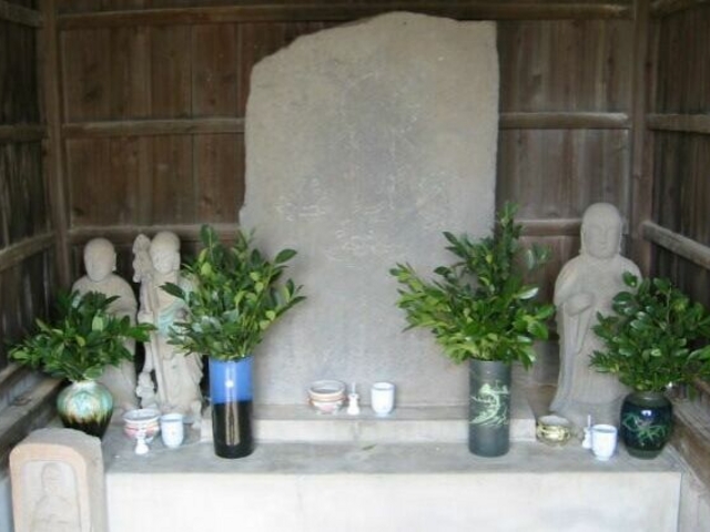 ���z�̔�̎ʐ^1