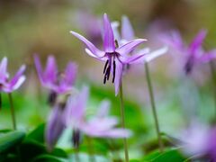 ���Z��������̗��̎ʐ^1