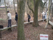 �U�[�����Q���n�̎ʐ^2