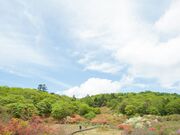 ���������̎ʐ^2