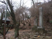 �������̃J���̎ʐ^1