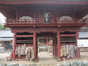 �������̃J���̎ʐ^2