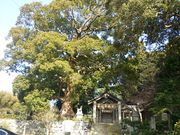 �Z���_�Ђ̑叾�̎ʐ^2