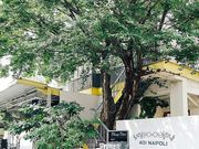 AOI NAPOLI i|̎ʐ^1