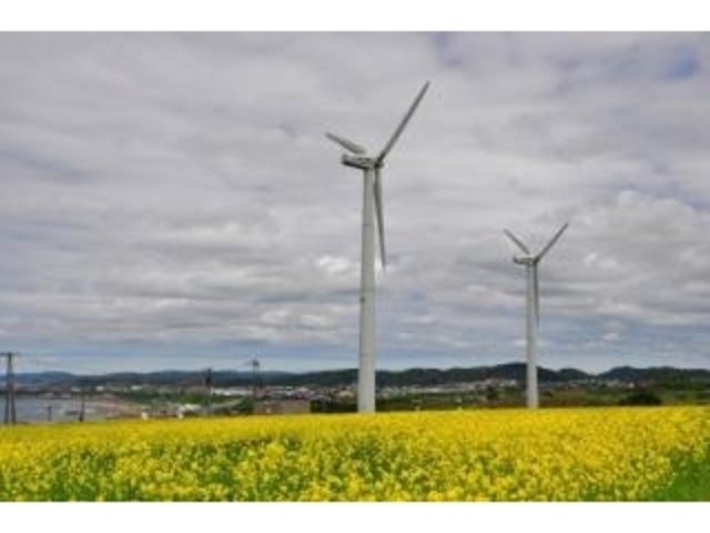 ���q��@�{�Y��