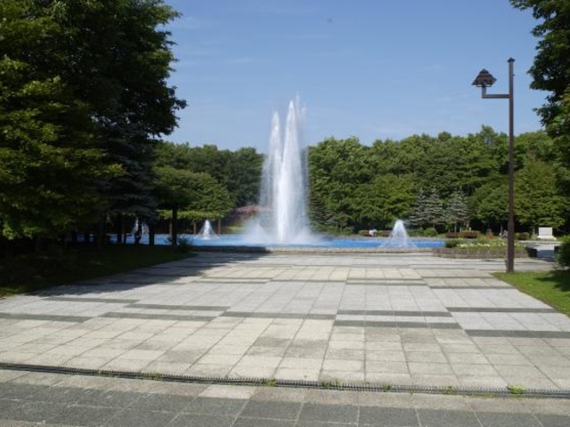 �t����_�t����