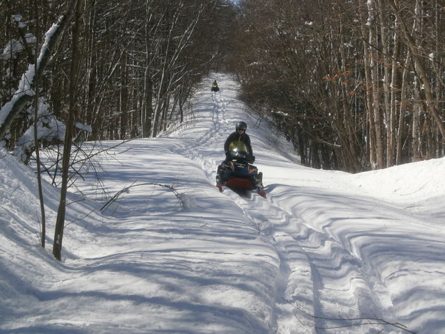 �т̒���i����_�\���l�C�`���[�Z���^�[