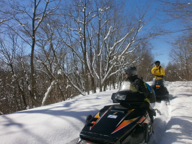 �C���������ł�_�\���l�C�`���[�Z���^�[